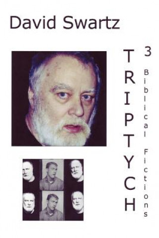 Knjiga Triptych David Swartz