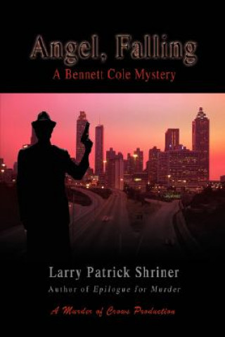 Libro Angel, Falling Larry Patrick Shriner