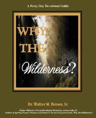 Könyv Why the Wilderness Walter M Brown Jr