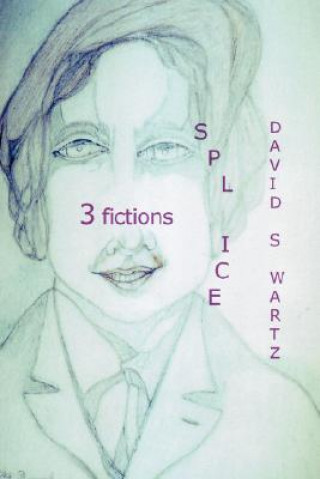 Βιβλίο Splice David Swartz