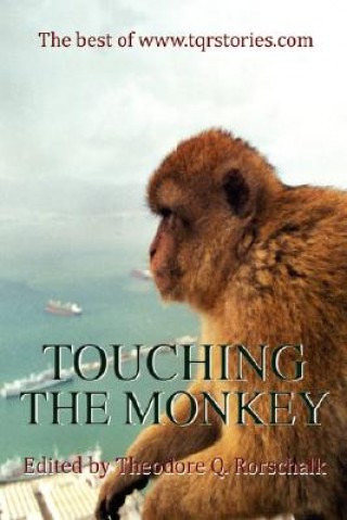 Kniha Touching the Monkey Steven James Hansen