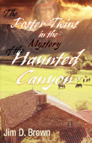 Carte Foster Twins in the Mystery of the Haunted Canyon Jim D Brown