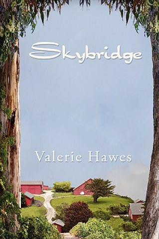 Buch Skybridge Valerie Hawes