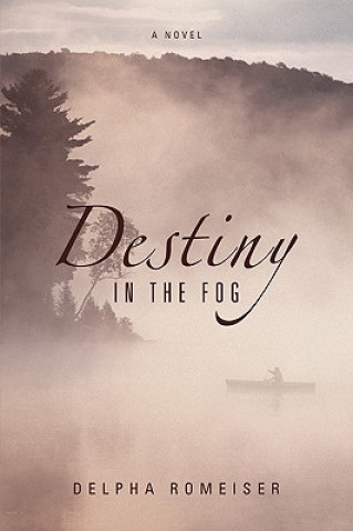 Buch Destiny in the Fog Delpha Romeiser