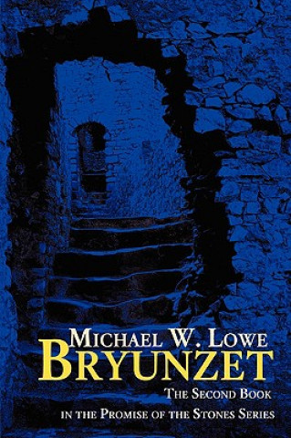 Book Bryunzet Michael W Lowe