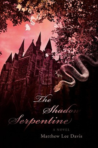 Książka Shadow Serpentine Matthew Lee Davis