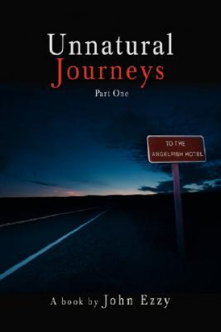 Kniha Unnatural Journeys John Ezzy