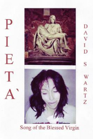 Buch Pieta` David Swartz