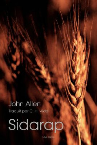 Knjiga Sidarap Professor John Allen