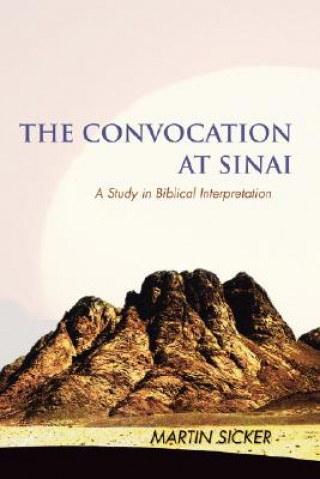 Book Convocation at Sinai Martin Sicker