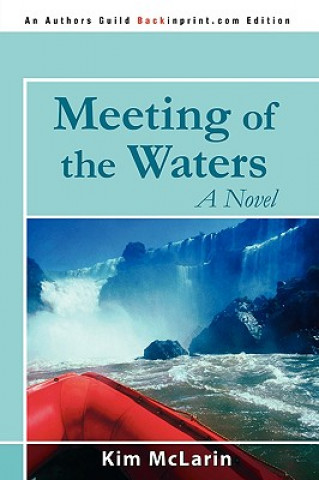 Kniha Meeting of the Waters Kim McLarin