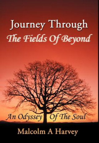 Buch Journey Through The Fields Of Beyond Malcolm A Harvey