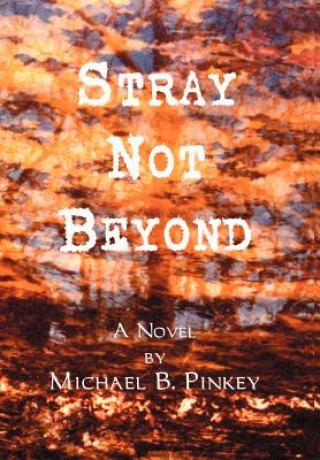 Kniha Stray Not Beyond Michael B Pinkey