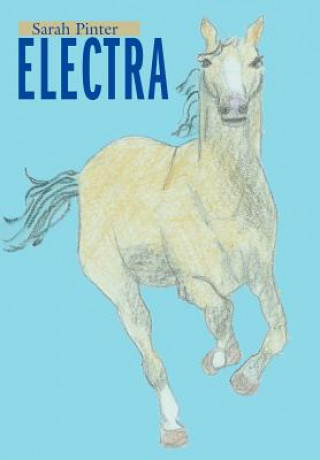 Livre Electra Sarah Pinter