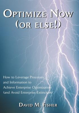 Book Optimize Now (or else!) David M Fisher