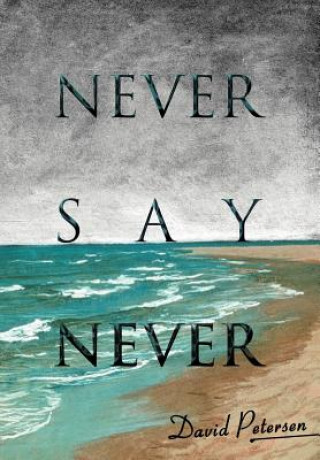 Kniha Never Say Never David Petersen