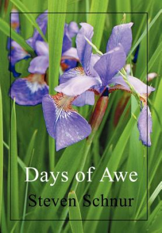 Book Days of Awe Steven Schnur