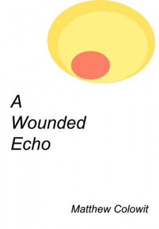 Buch Wounded Echo Matthew Colowit