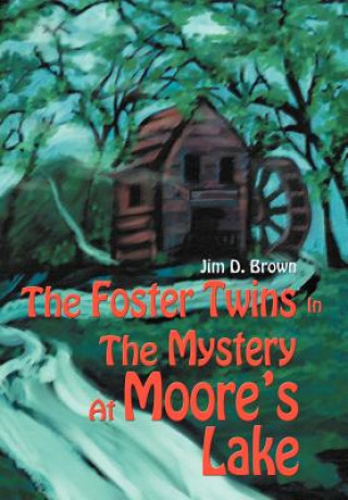 Buch Foster Twins In The Mystery At Moore's Lake Jim D Brown