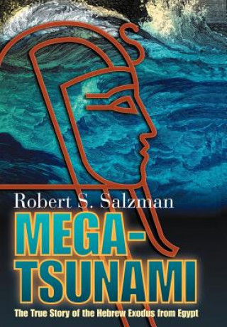 Book Mega-Tsunami Robert S Salzman