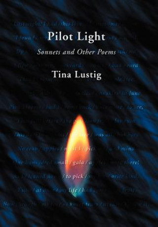 Kniha Pilot Light Tina Lustig