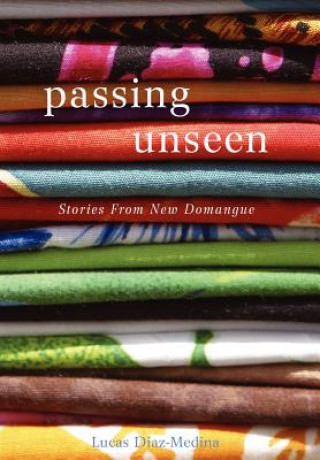 Könyv Passing Unseen Lucas Diaz-Medina