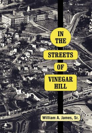 Książka In The Streets Of Vinegar Hill Sr William a James