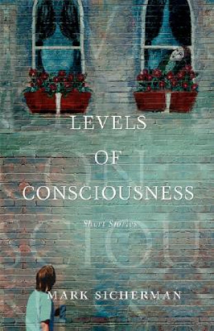 Könyv Levels of Consciousness Mark Sicherman