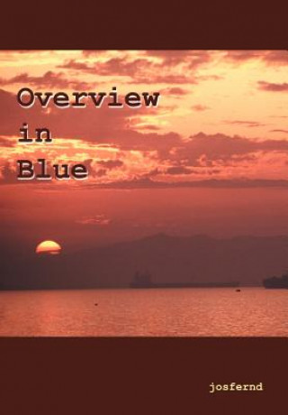 Kniha Overview in Blue Josfernd