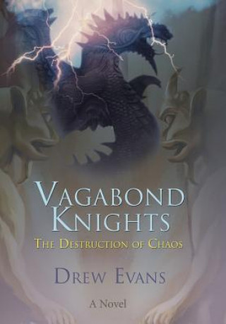 Kniha Vagabond Knights Drew Evans