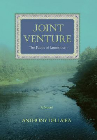 Livre Joint Venture Anthony J Dellaira