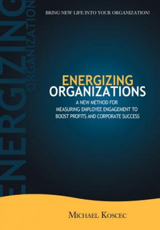 Könyv Energizing Organizations Michael Koscec
