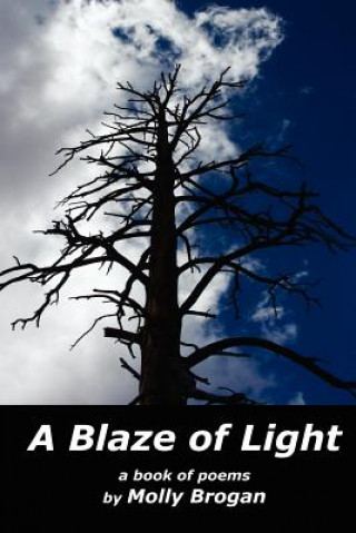 Kniha Blaze of Light Molly Brogan