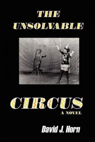 Kniha Unsolvable Circus David J. Horn