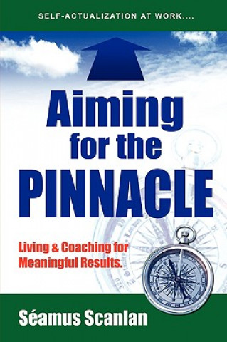 Kniha Aiming For The Pinnacle Seamus Scanlan