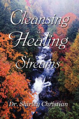 Kniha Cleansing and Healing Streams Dr. Shirley Christian