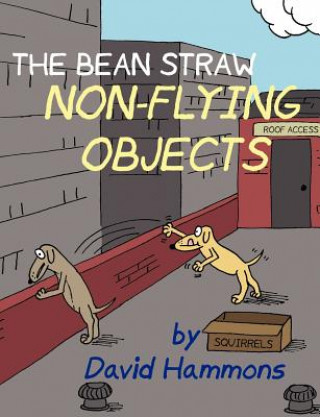 Buch Bean Straw: Non-Flying Objects David Hammons