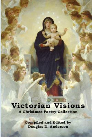 Knjiga Victorian Visions Douglas D Anderson