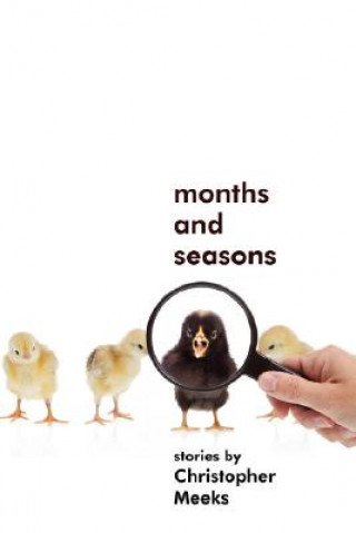 Book Months and Seasons Christopher Meeks