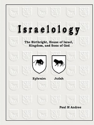 Könyv Israelology Paul H. Andree