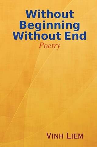 Libro Without Beginning Without End Vinh Liem