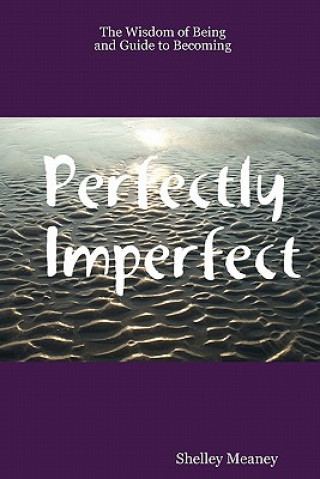 Kniha Perfectly Imperfect Shelley Meaney