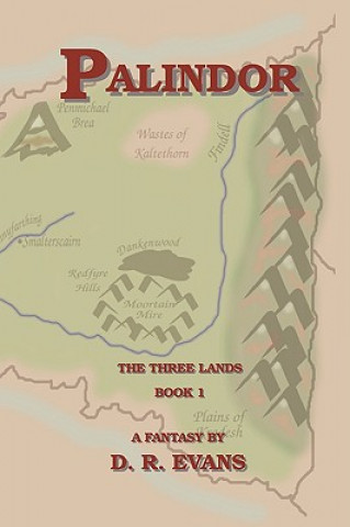 Book Palindor D. R. Evans