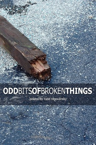 Knjiga Odd Bits Of Broken Things Todd Regoulinsky