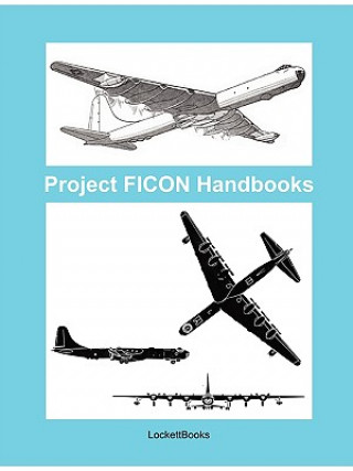 Könyv Project FICON Handbooks Brian Lockett