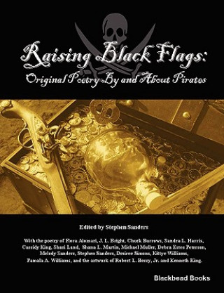 Könyv Raising Black Flags Stephen Sanders