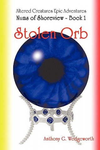 Knjiga Nums of Shoreview: Stolen Orb Anthony G. Wedgeworth