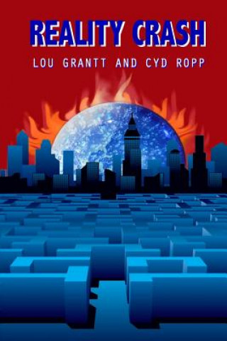 Buch Reality Crash Lou Grantt