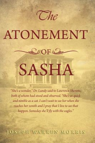 Kniha Atonement of Sasha Joseph Warren Morris