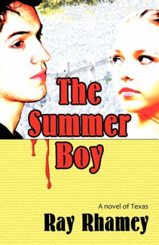 Kniha Summer Boy Ray Rhamey